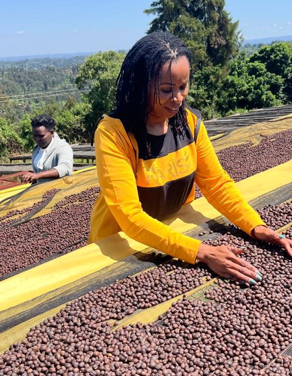 Safari Premium Coffee