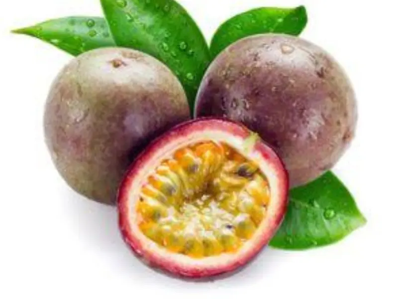 Passion Fruit